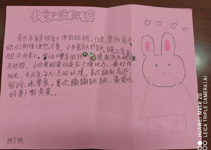 (2稿)二年级下册动物知识卡片制作