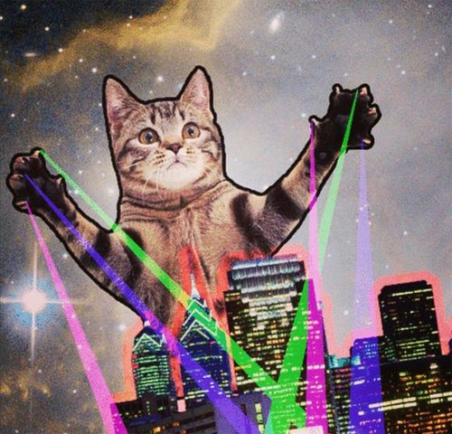 是世界上第一个致力于广告和设计界的组织,激光猫通过召集平面设计师