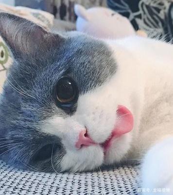 你不抱我我就咬舌自尽