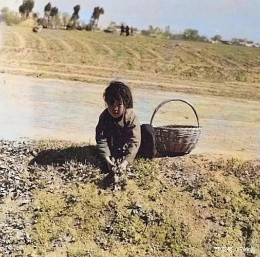 民国时期的孩子们,纯粹又可怜