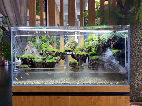 一米二松皮石悬浮山景水陆缸_水陆缸_家居家装_家居装饰_家居装饰其他