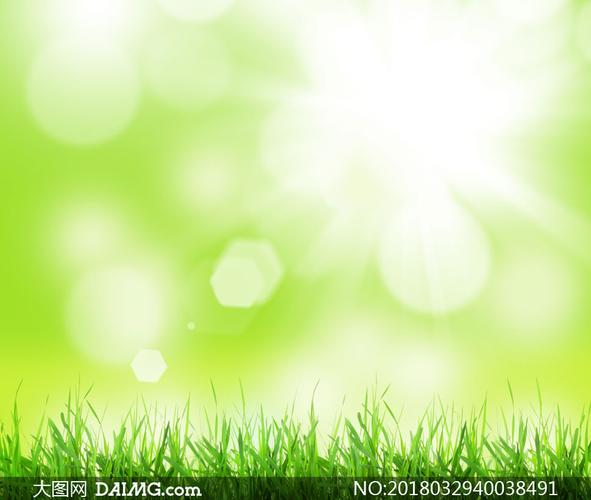 阳光下的青青草丛创意背景高清图片