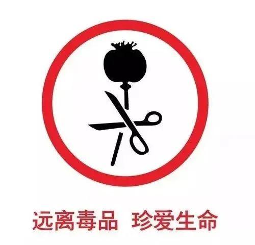 拒绝毒品 护航青春 ——上林县法院禁毒文艺汇演进校园(总第354期)