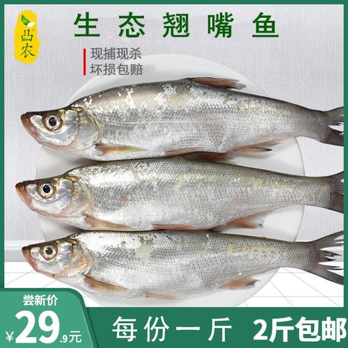凸农新鲜翘嘴鱼大白刁白鱼刁子鱼白条鱼鲜活满2斤顺丰包邮