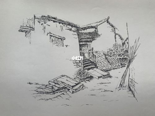 7615钢笔画练习65:临摹作品_钢笔_临摹_城西银泰城自由行热门攻略