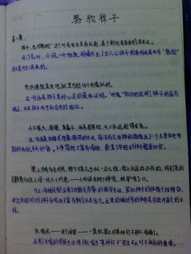 骆驼祥子第8章批注和赏析骆驼祥子第八章赏析