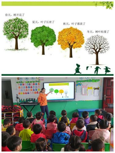 落叶树的一年四季变化