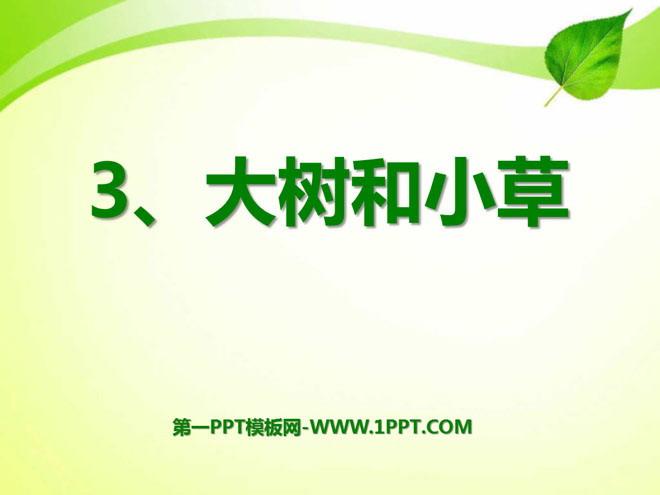 《大树和小草》植物ppt课件3