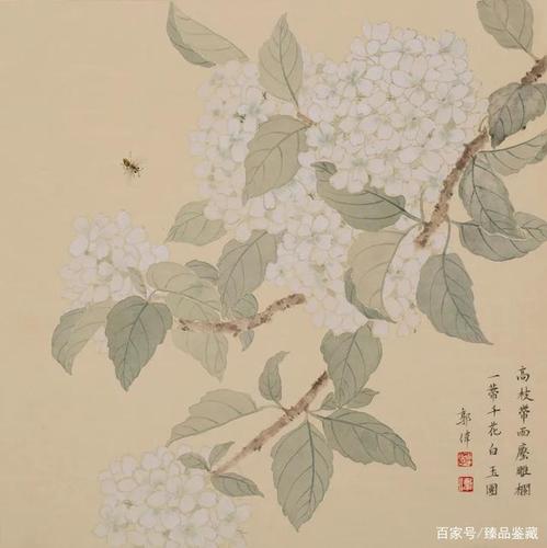花下集    绣球花   38×38cm