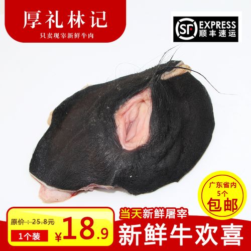 新鲜母牛生殖系统带外阴牛欢喜牛外阴牛逼母牛外阴牛欢喜牛阴蒂