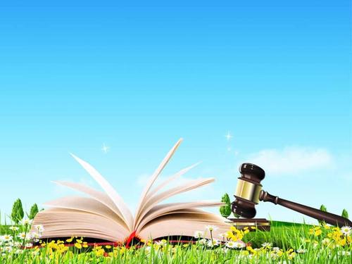 部编版道德与法治七年级下册491生活需要法律ppt课件10ppt