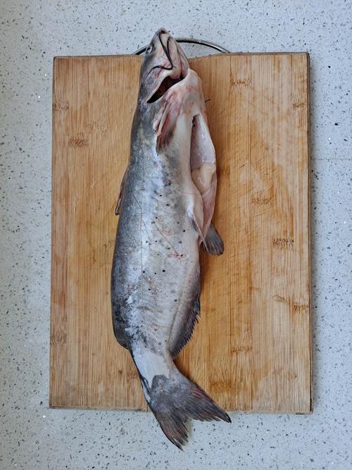 营养浓汤清江鱼