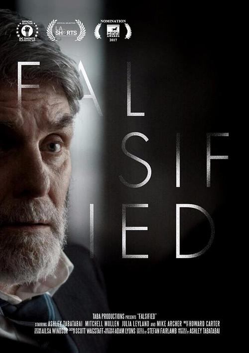 falsified (2017)