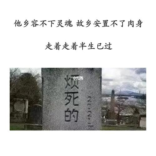 走着走着半生已过_文字控_素材_文字素材