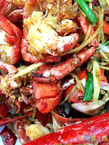 辣妈三亚旅游比基尼大比拼