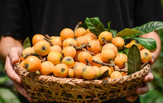 福州有哪些水果福建福州特产