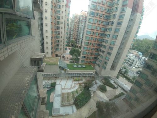 窗外景观 - 由客厅