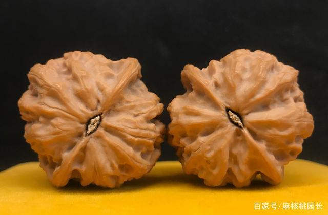 多图|凤凰岭狮子头的特点有哪些?它其实也叫凤凰山狮子头!