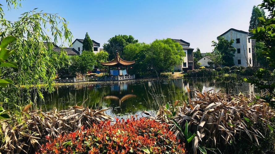 南京江宁湖熟镇前杨柳村