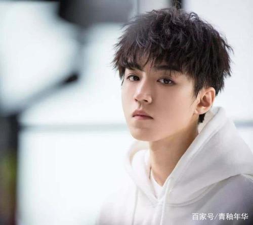 众男神锡纸烫造型pk王源有气势王俊凯高冷蔡徐坤的最特别