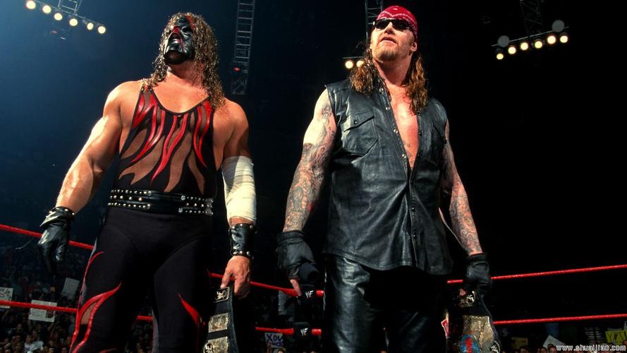 wwe毁灭兄弟史上最珍贵的照片