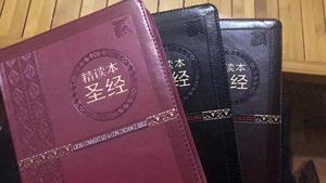 办公,文化 书籍,出版物 儿童读物 圣经书精读