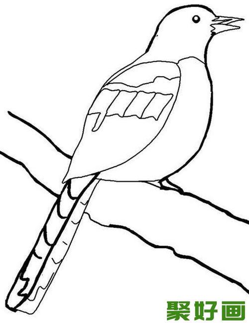 喜鹊简笔画5副儿童简笔画喜鹊图片