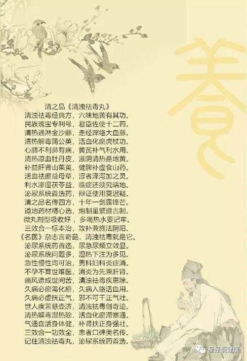 清浊祛毒丸---痛风专题