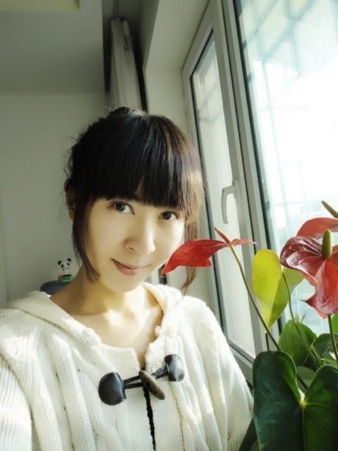 孙晨
