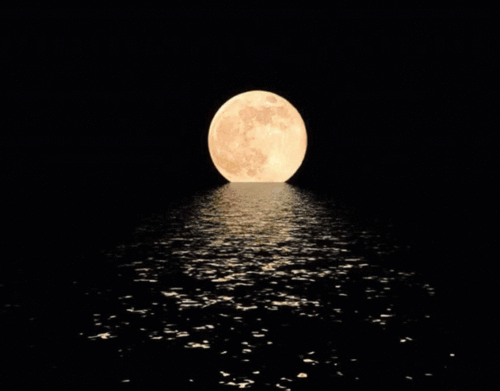 海上生明月,天涯共此时!