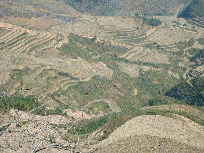  p>坪坡自然村隶属云南省施甸县旧城乡大田坝行政村,属于山区.