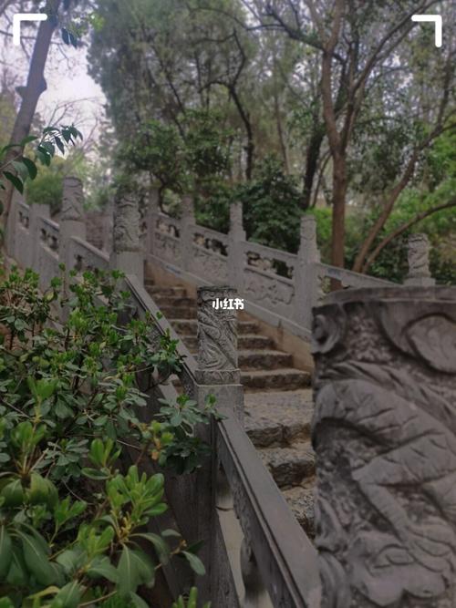 紫荆山公园_摄影_紫荆山公园_郑州_郑州拍照_出行