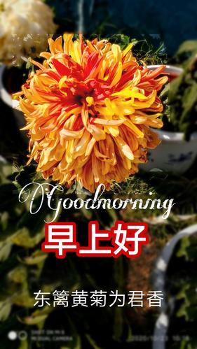 手机制作《早上好》帖