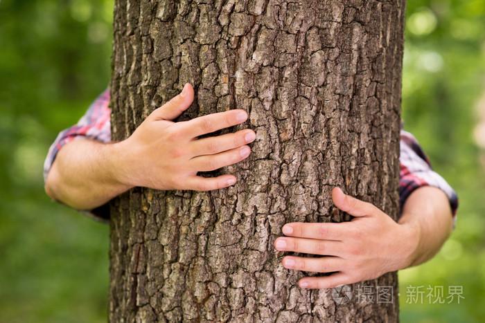 手抱树
