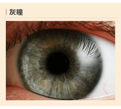 孙启放:灰瞳(组诗)