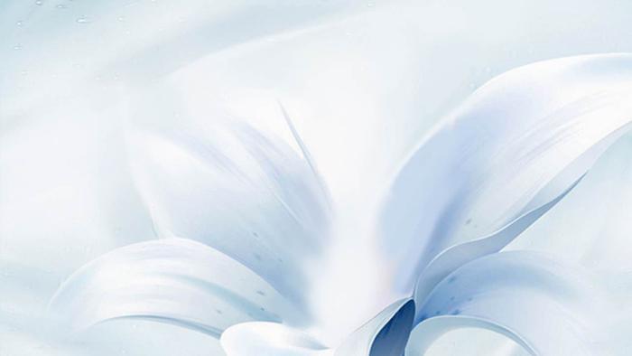 蓝色淡雅花卉ppt背景图片