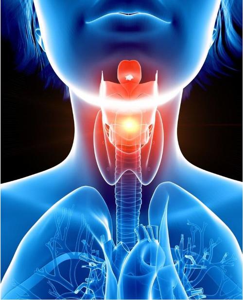 阻塞气道 痰液本身是呼吸道的内壁之上,我们依靠呼吸道内壁上的纤毛