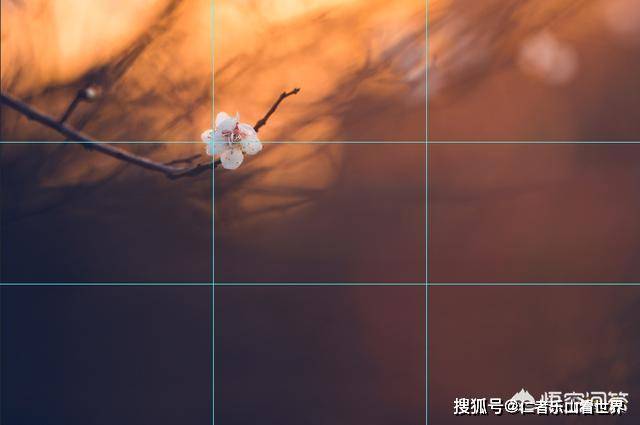 摄影构图有哪些技巧?