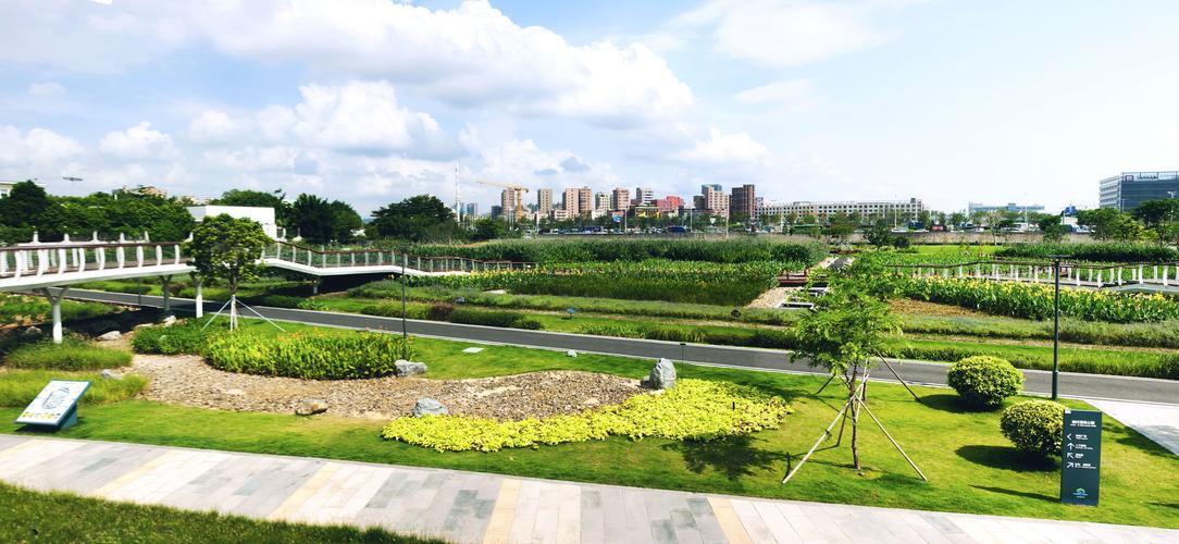 深圳-光明-楼村湿地公园