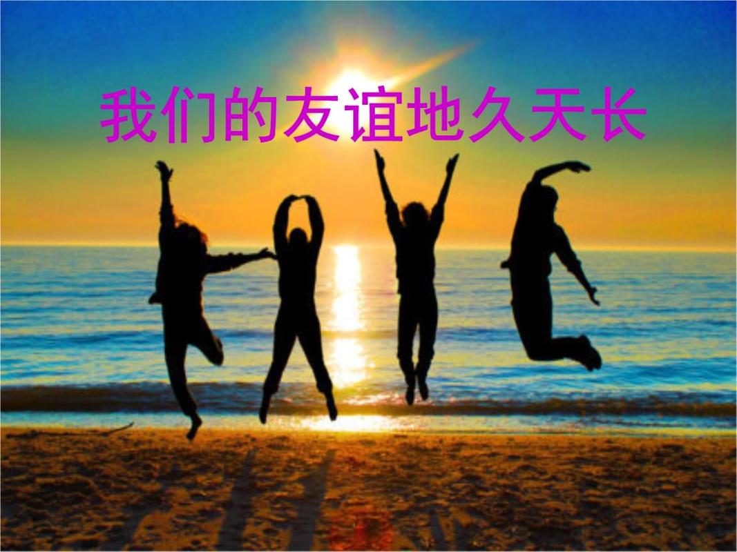 我的友谊地久天长.pptx 50页