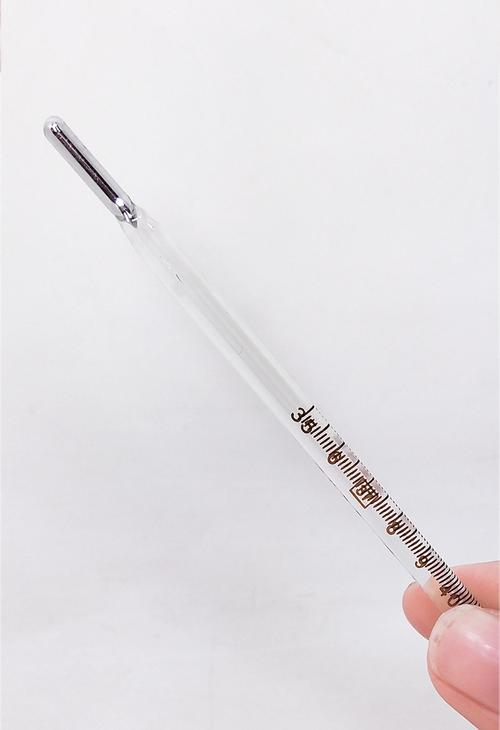 棉花朵朵老式水银体温计玻璃体温计成人儿童家用测体用医用体温计