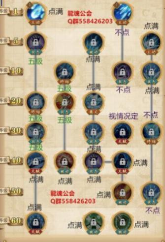 航海王燃烧意志青雉技能加点表 最强控制ssr怎么加点