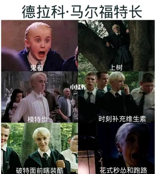 中的沙雕表情包9497_表情包_哈利波特_沙雕_哈利波特表情包_素材