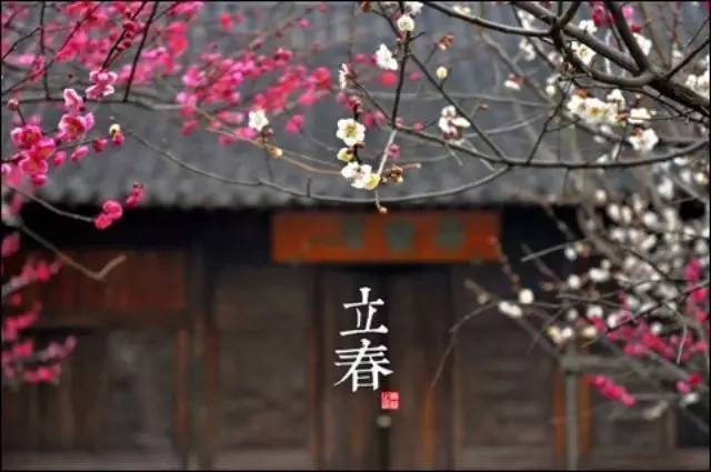 关于立春