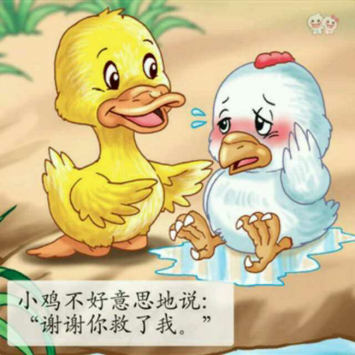 20151210 门牙的纪念 泽泽故事之小鸡和小鸭