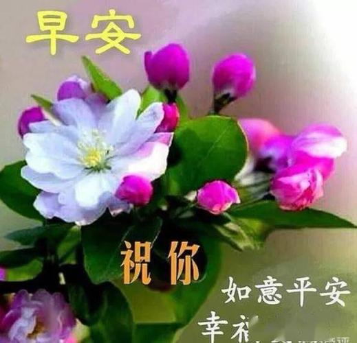 群发早上好问候漂亮图片表情带字,早安祝福语短信