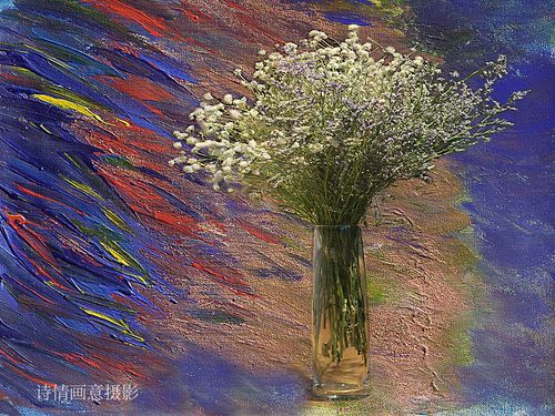 拍摄偶得 - 诗情画意琴韵书声 - 图虫