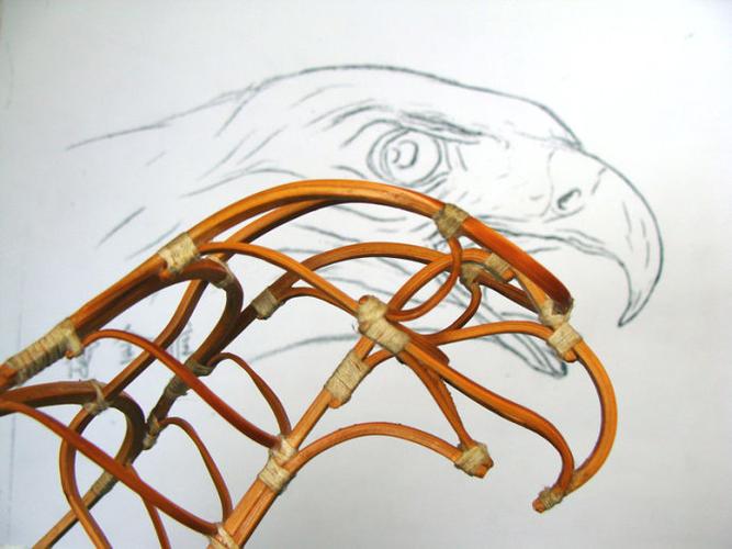 老傅画鹰《21》鹰风筝头眼喙_几点盘鹰_新浪博客