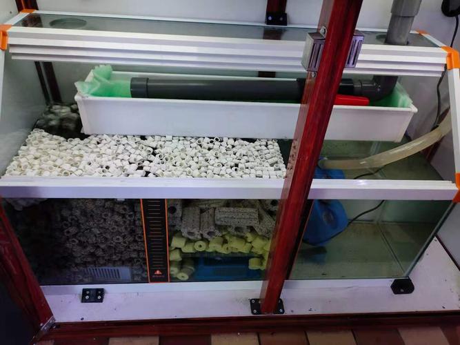 现在看看几个底滤鱼缸,和上滤鱼缸对比,各有什么优缺点?