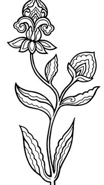 叶子上长花简笔画